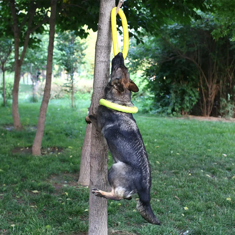 Berger-allemand-qui-joue-avec-un-jouet-pour-chien-indestructible-sur-un-arbre