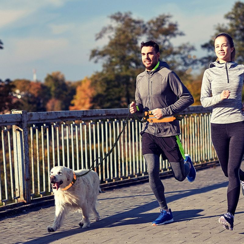Couple-Joggeur-Labrador-Laisse-Canicross-Orange