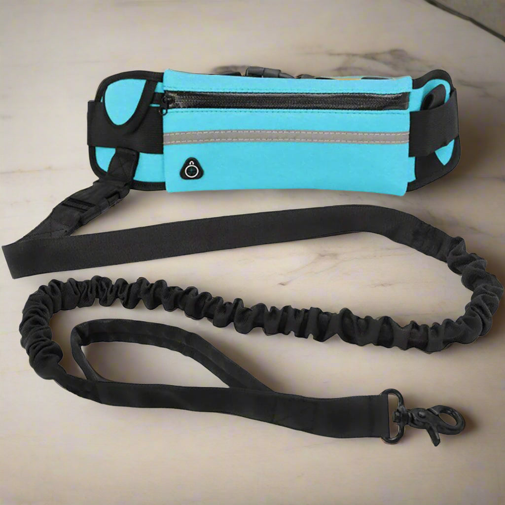 Laisse-Canicross-Bleu