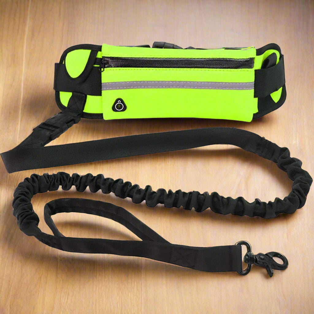 Laisse-Canicross-Jaune