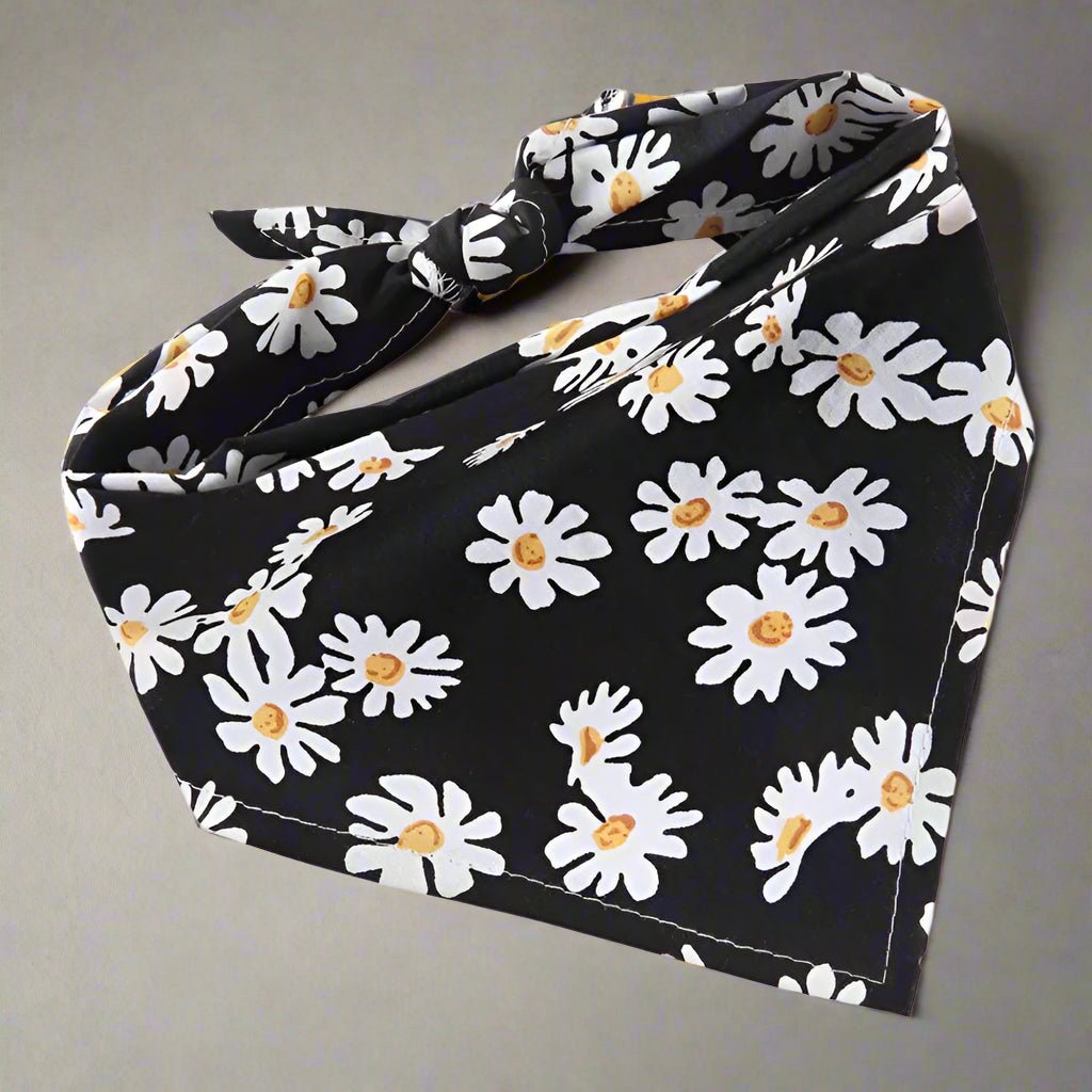 Bandana chien | JoliTriangle - Les Plaisirs Canins