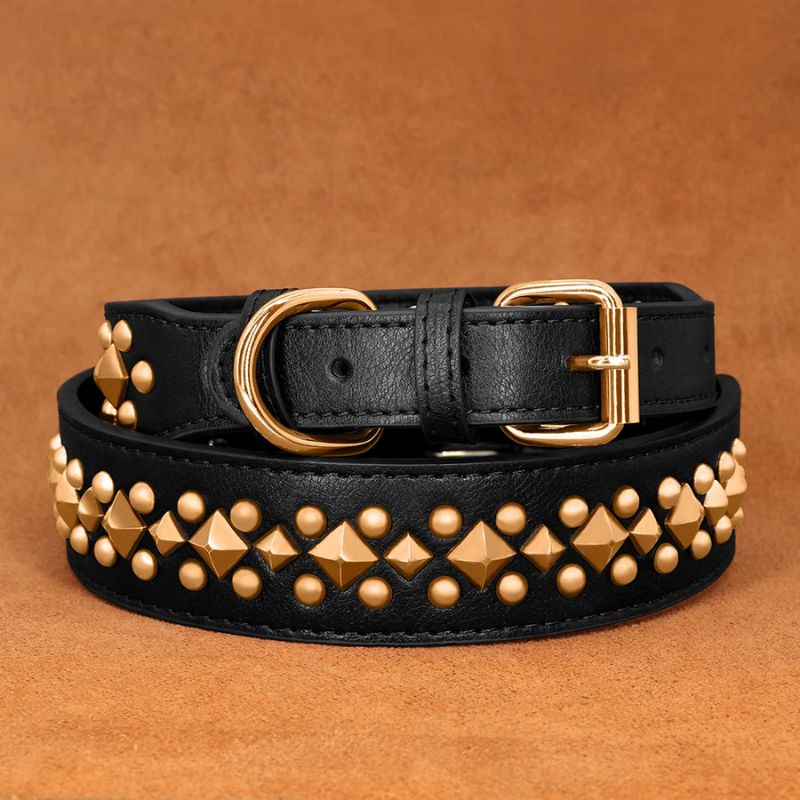 Collier chien cuir noir