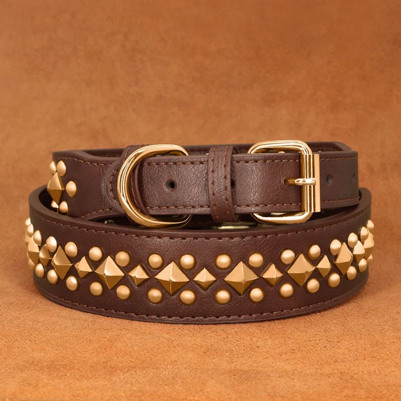 Collier chien cuir | ImABigDog - Les Plaisirs Canins
