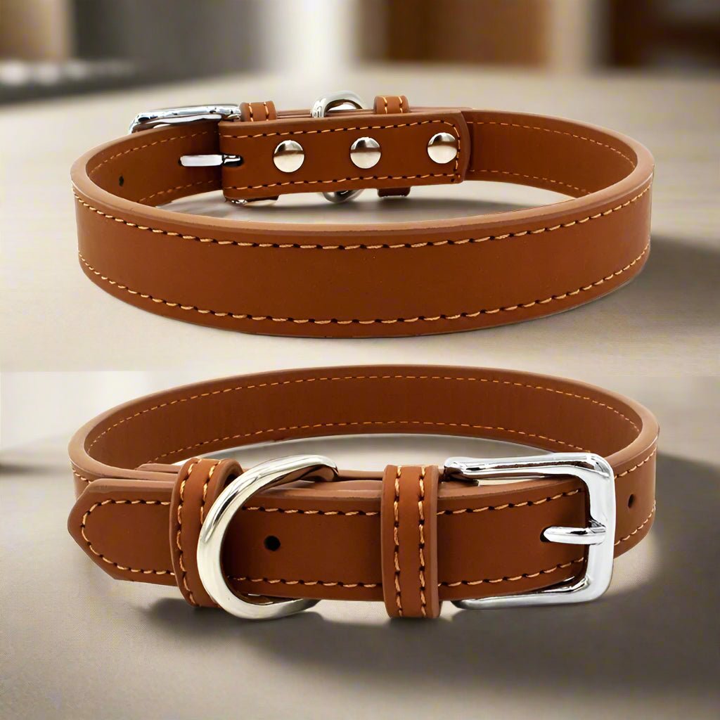 Collier chien cuir | LilCuirette - Les Plaisirs Canins