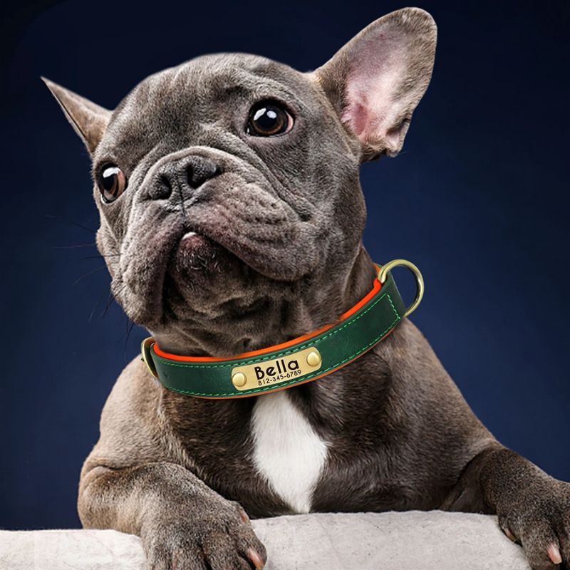 Collier chien personnalisé | CallMyName - Les Plaisirs Canins