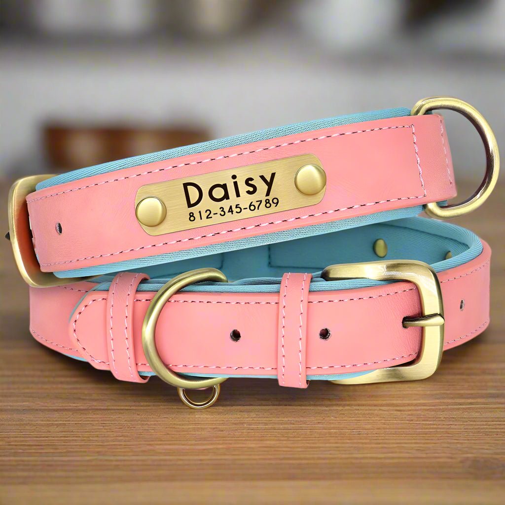 collier chien personnalisé rose