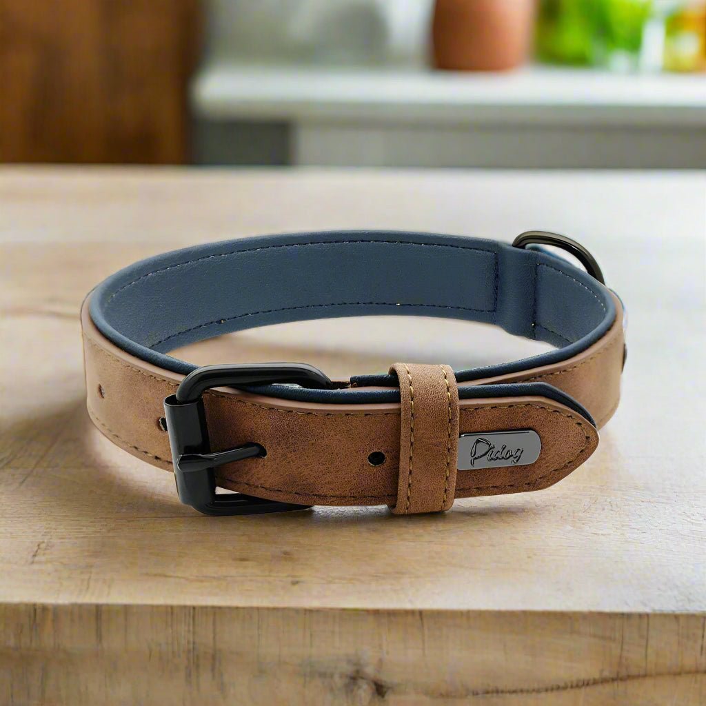 Collier chien | PrettyChic - Les Plaisirs Canins