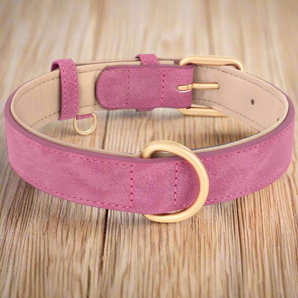 Collier pour chien rose