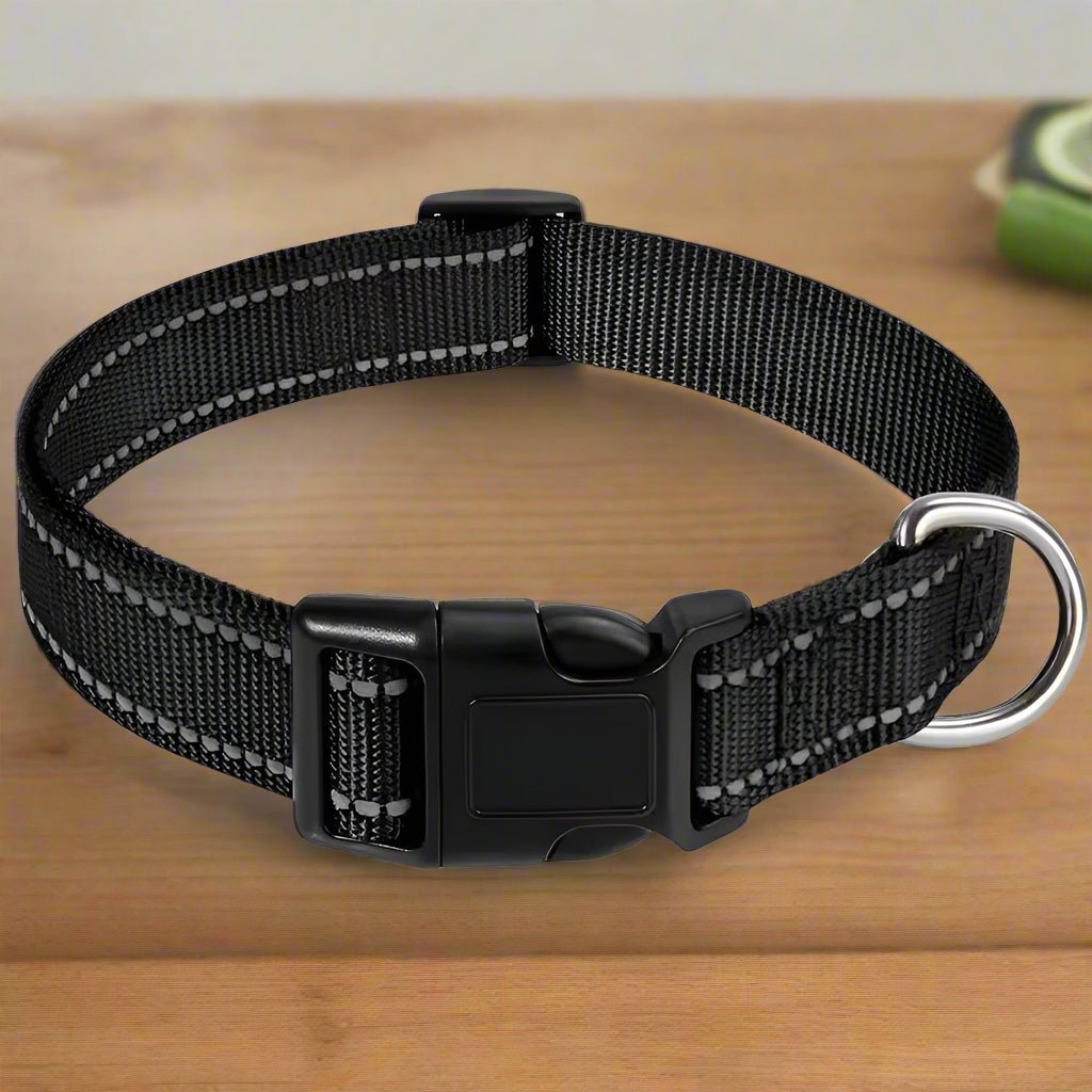 Collier pour chien | LilLumineux - Les Plaisirs Canins