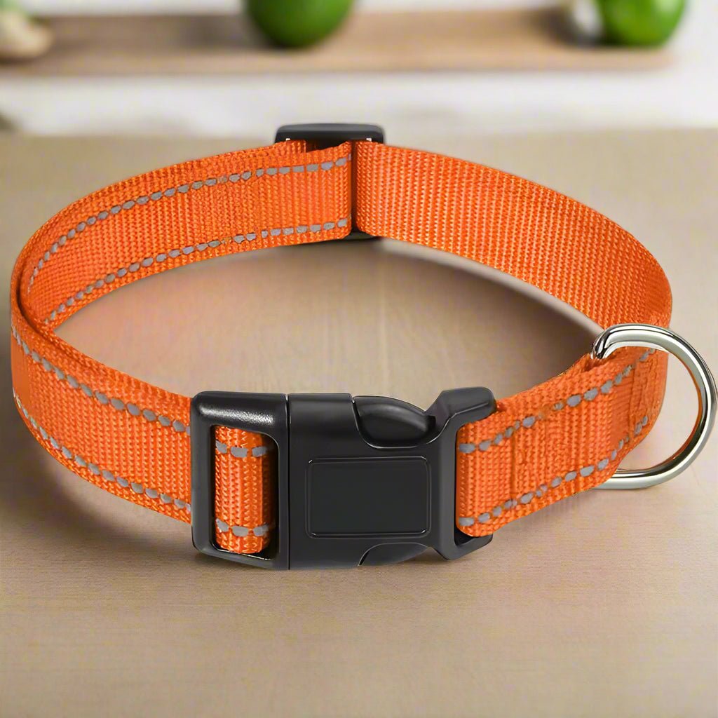 collier pour chien oraange lumineux
