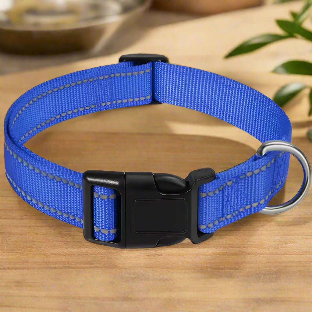 Collier pour chien | LilLumineux - Les Plaisirs Canins