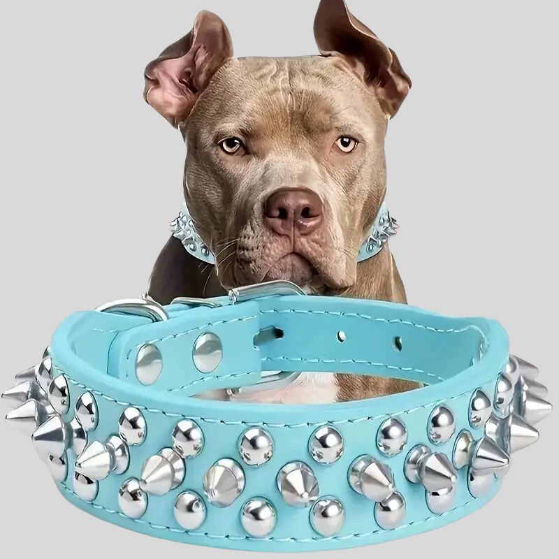 Collier pour chien bleu