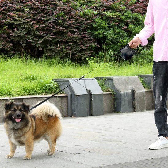 Petit chien marron en promenade avec son propriétaire grâce à leur laisse pour chien rétractable pour usage quotidien