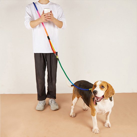 beagle avec son maitre et sa laisse pour chien mains libres modèle coloré pour promenade
