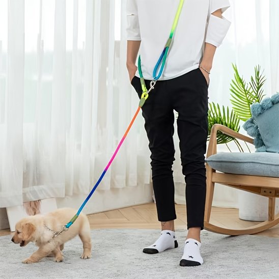 Chiot dans son salon avec son propriétaire et sa laisse pour chien mains libres