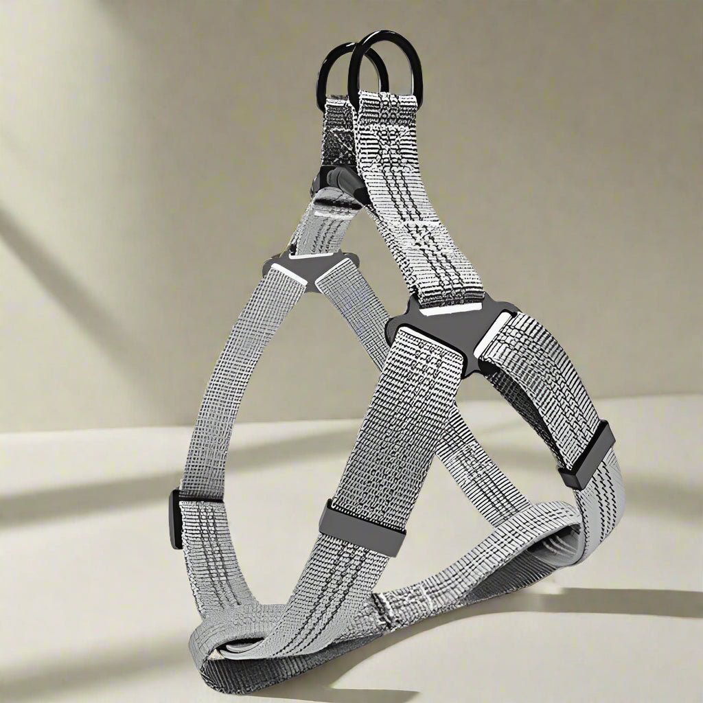 Harnais chien | EasyClip - Les Plaisirs Canins