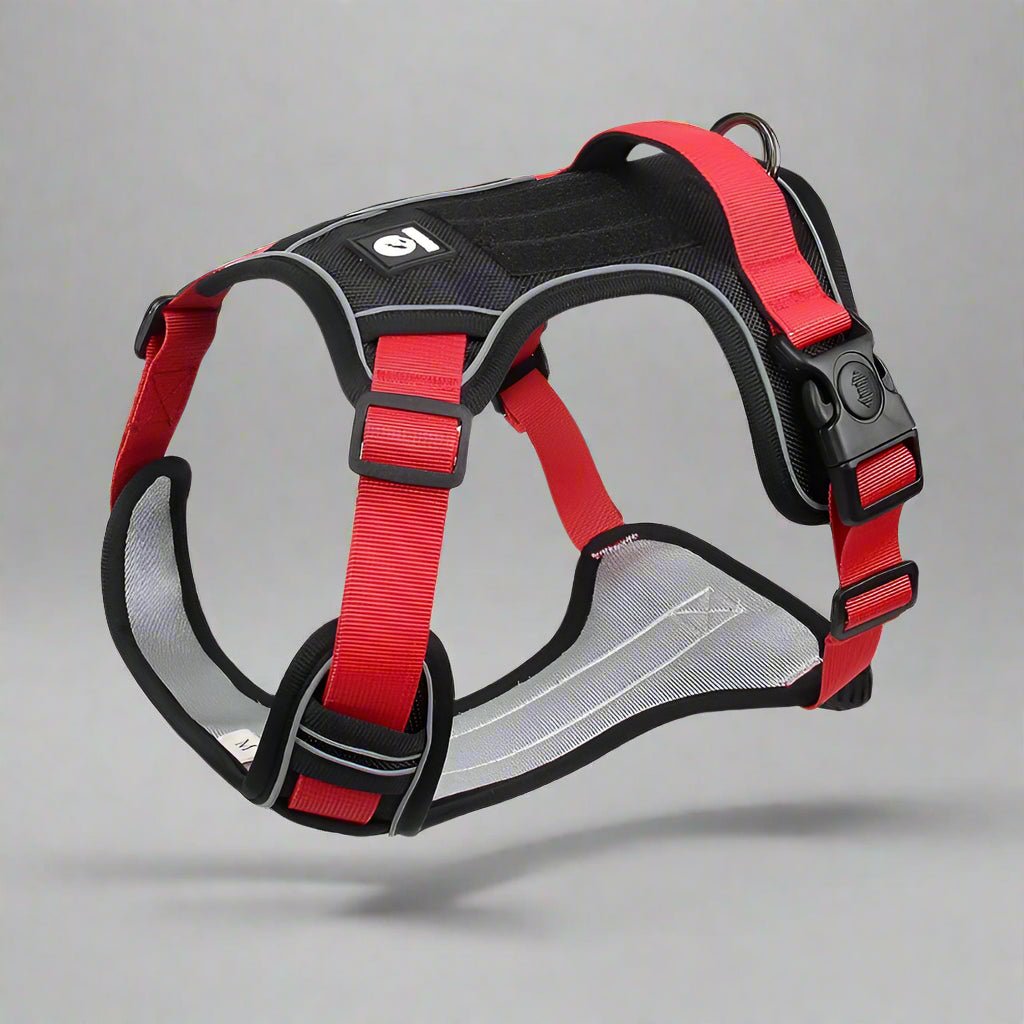 Harnais en Y | CutiePie - Les Plaisirs Canins