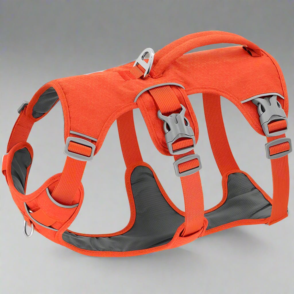 Harnais pour chien | TrippleFit - Les Plaisirs Canins