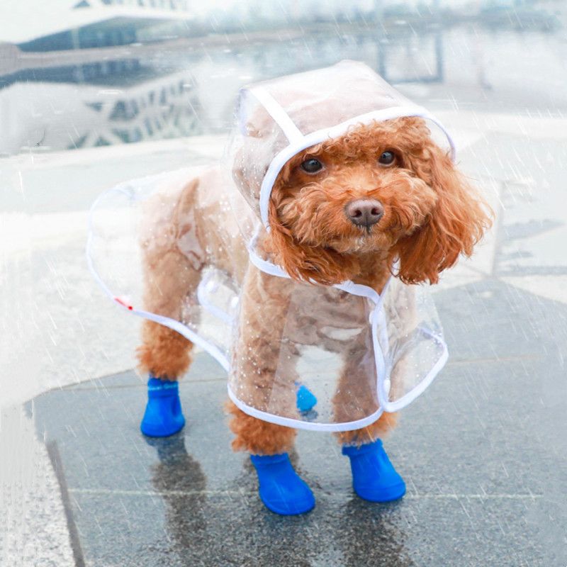 Imperméable chien | Poncho - Les Plaisirs Canins