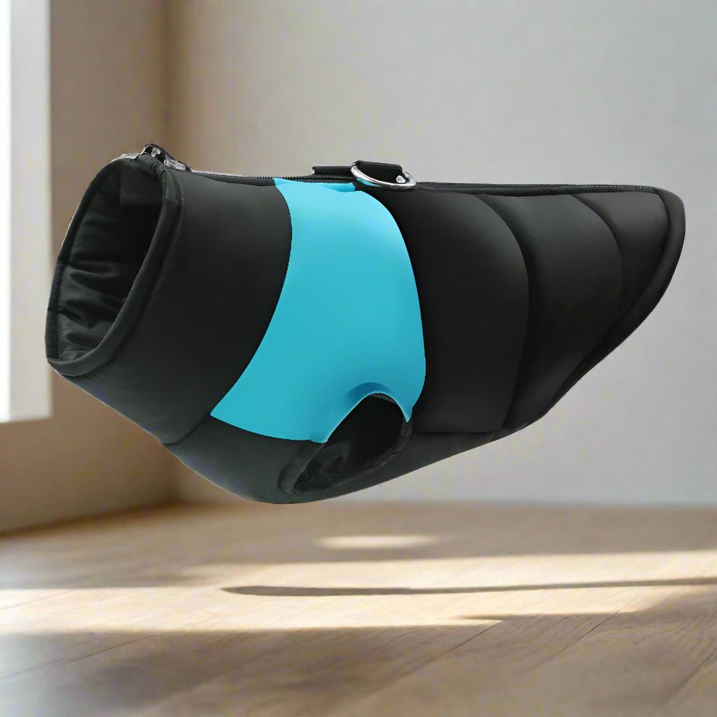 imperméable pour chien noir et bleu