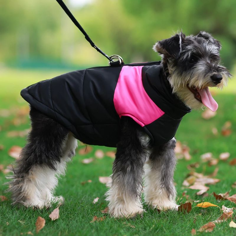 Imperméable pour chien | WetJacket - Les Plaisirs Canins