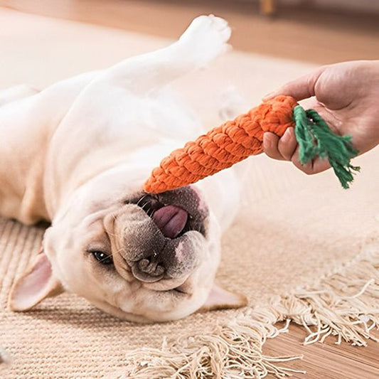 Jouet indestructible chien | CarotteRésistante - Les Plaisirs Canins