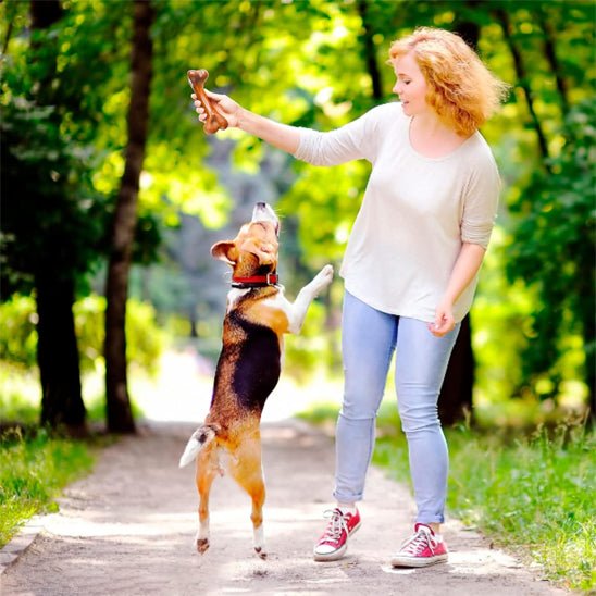Jouet indestructible pour chien | MasticTonOs - Les Plaisirs Canins