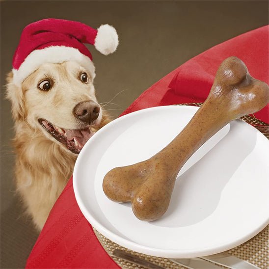 Labrador avec un bonnet de noël qui regarde avec envie son jouet indestructible pour chien