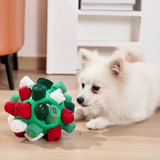 spitz-japonais-jouet-pour-chien-boule-verte-rouge