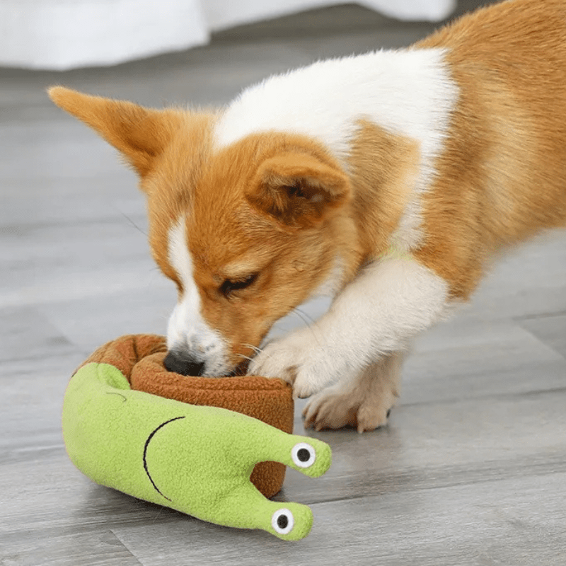 Jouet pour chien | Escargot - Les Plaisirs Canins