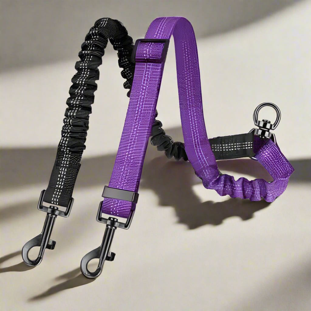 Laisse double pour chien | DoubleRun - Les Plaisirs Canins