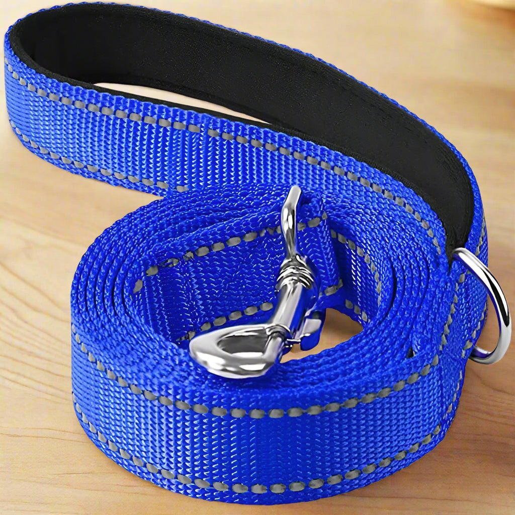 Laisse pour chien | SimplementParfaite - Les Plaisirs Canins