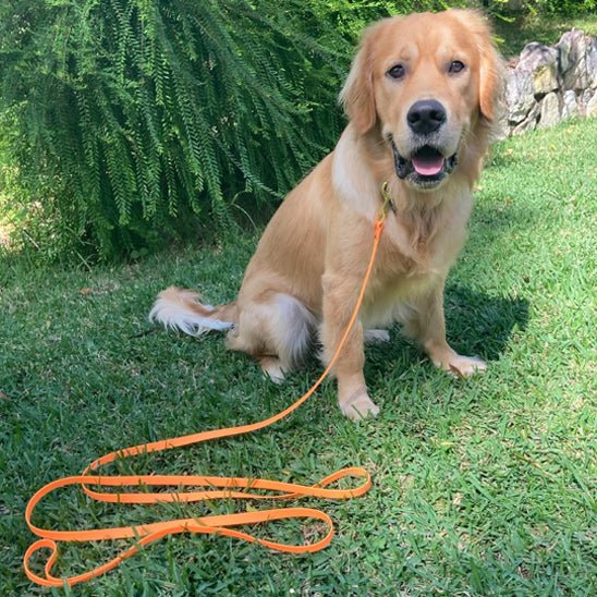 Longe chien | Imperméable - Les Plaisirs Canins