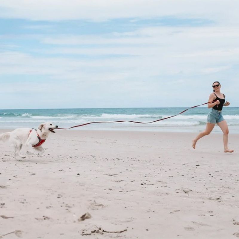 Longe chien | Imperméable - Les Plaisirs Canins