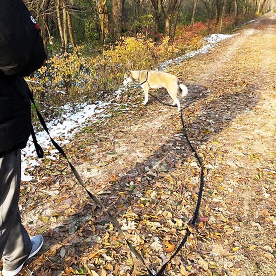 Longe pour chien | TextyRope - Les Plaisirs Canins