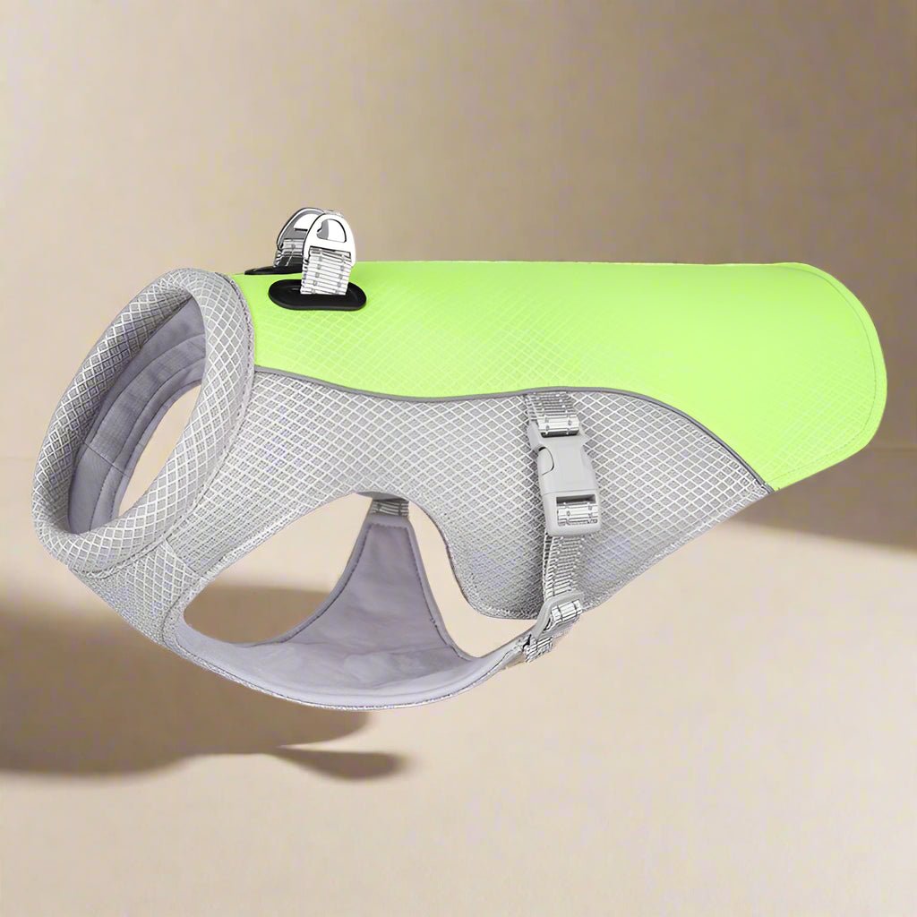 manteau-chien-gris-et-vert