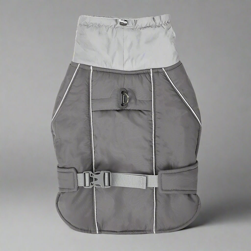 manteau-pour-chien-gris-impermeable