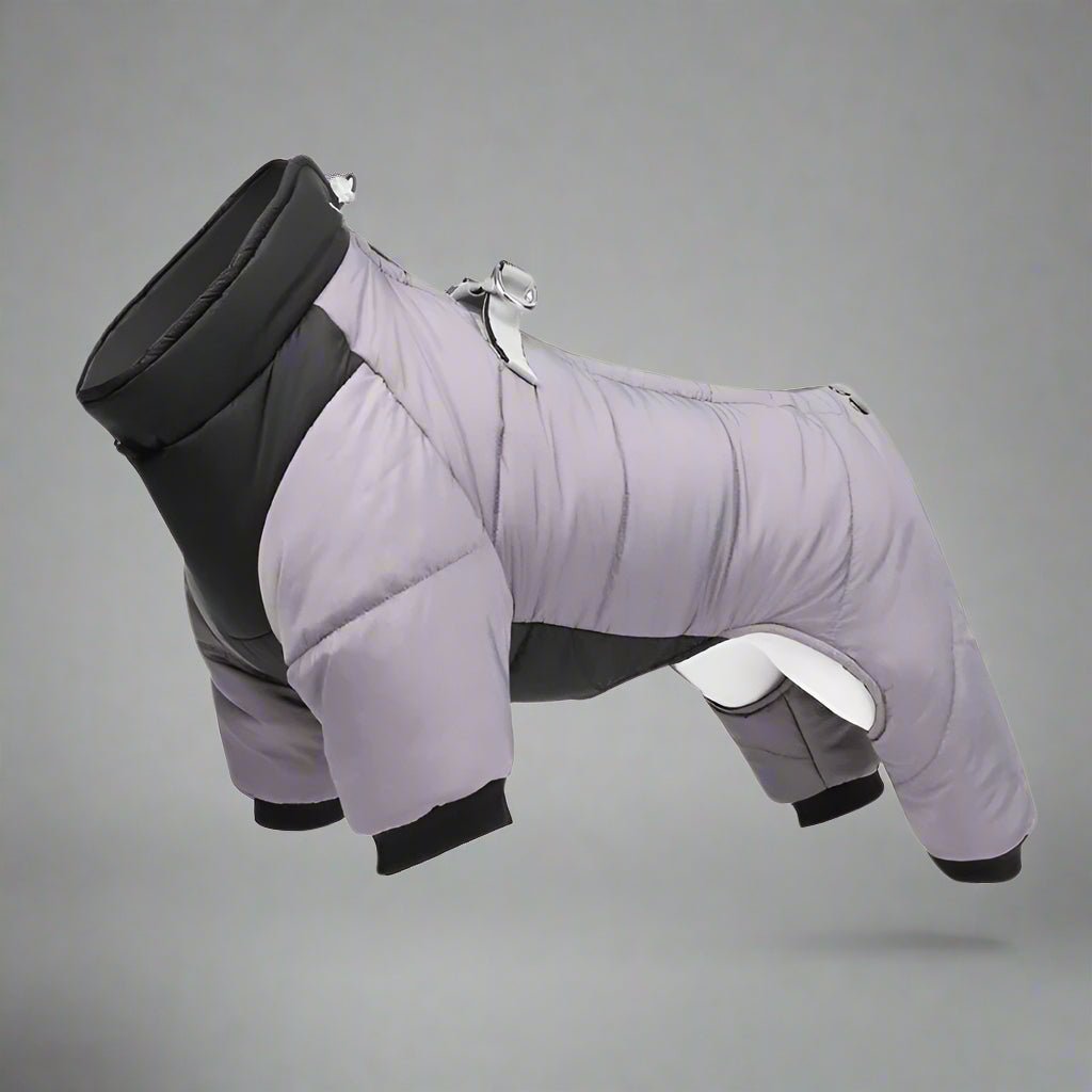 manteau-pour-chien-gris