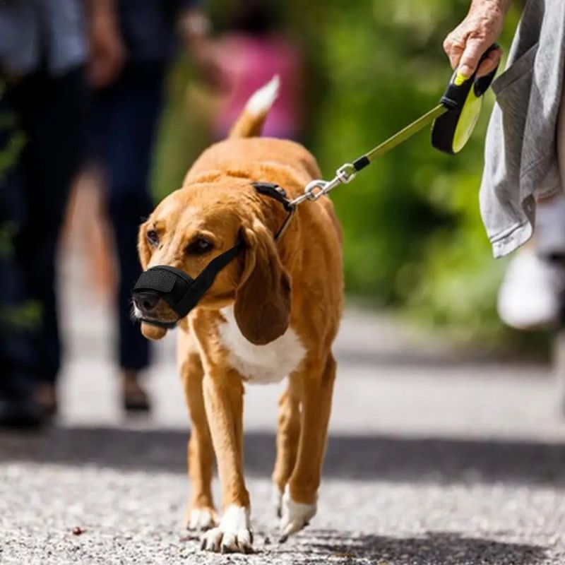 Muselière Chien | FlexyRespy - Les Plaisirs Canins