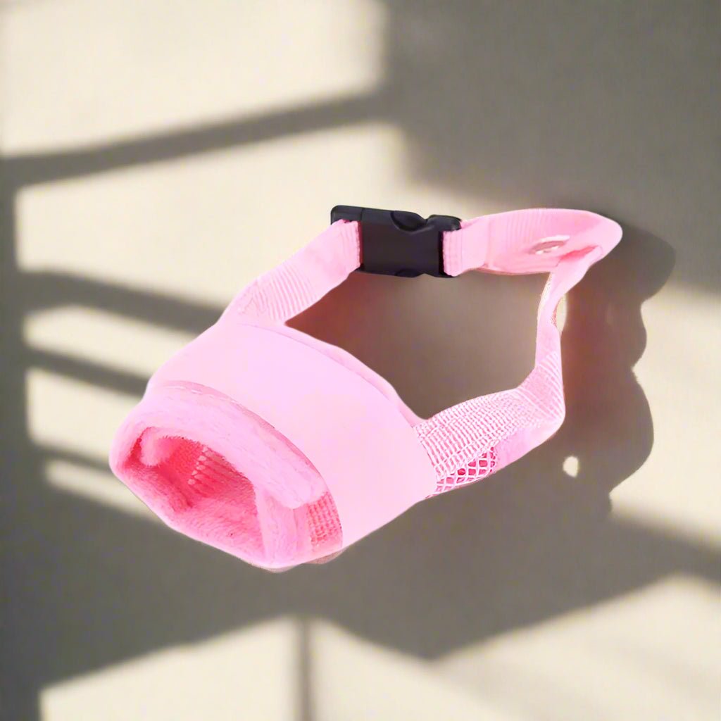 muselière chien rose