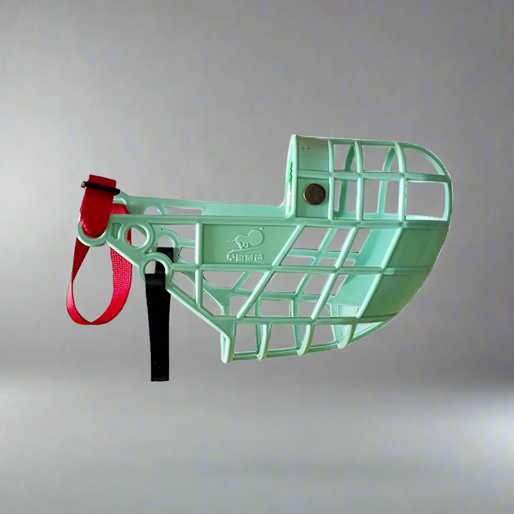 museliere-chien-verte