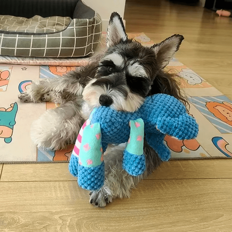 Peluche pour chien | AnimoZoo - Les Plaisirs Canins