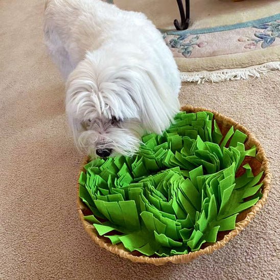 Tapis de fouille chien | SniffyMat - Les Plaisirs Canins