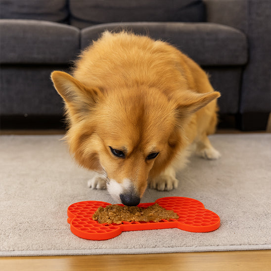 Corgi mangeant sa nourriture sur un tapis de lĂ©chage chien rouge en forme dâos