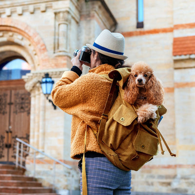 SAC A DOS CHIEN - Les Plaisirs Canins