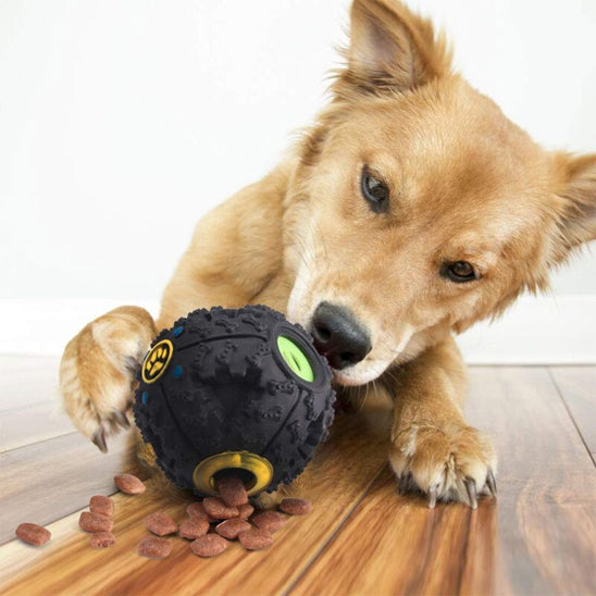 Golden_retriever_mordillant_un_jouet_indestructible_pour_chien_avec_motifs_en_relief