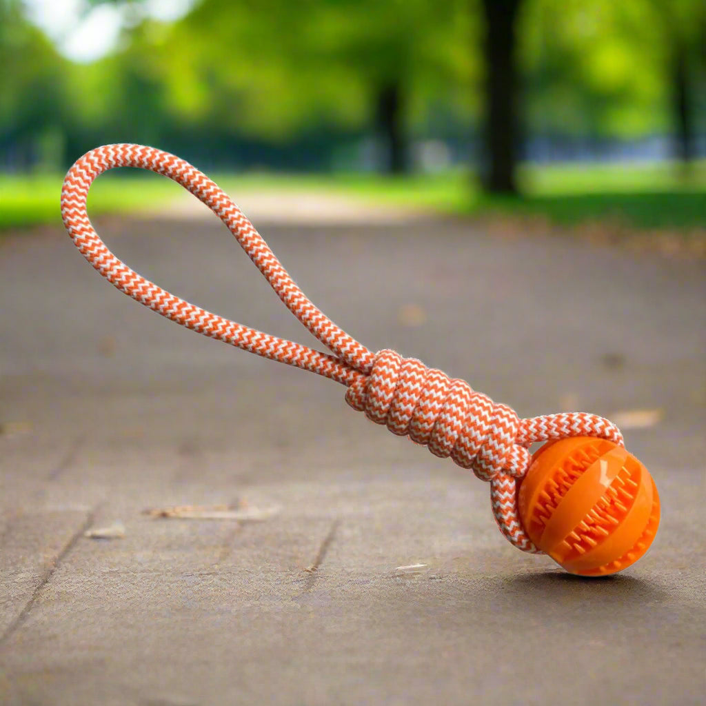 Jouet-indestructible-pour-chien-ComboBalleCorde-orange