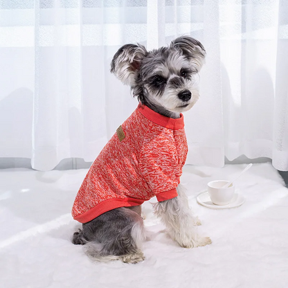 Petit-Chien-Gris-Avec-Son-Pull-Pour-Chien-Rouge