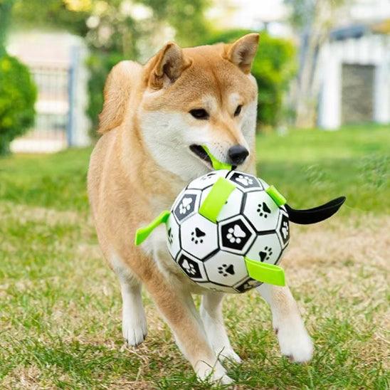 shiba inu courant dehors avec balle pour chien verte