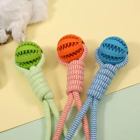 Trois_jouets_indestructibles_pour_chien_en_caoutchouc_et_corde